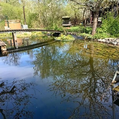 Ferienwohnung In Peetzig Am See Angermunde Dış mekan fotoğraf