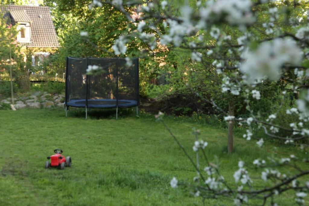 Ferienwohnung In Peetzig Am See Angermunde Dış mekan fotoğraf