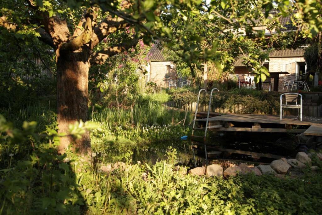 Ferienwohnung In Peetzig Am See Angermunde Dış mekan fotoğraf