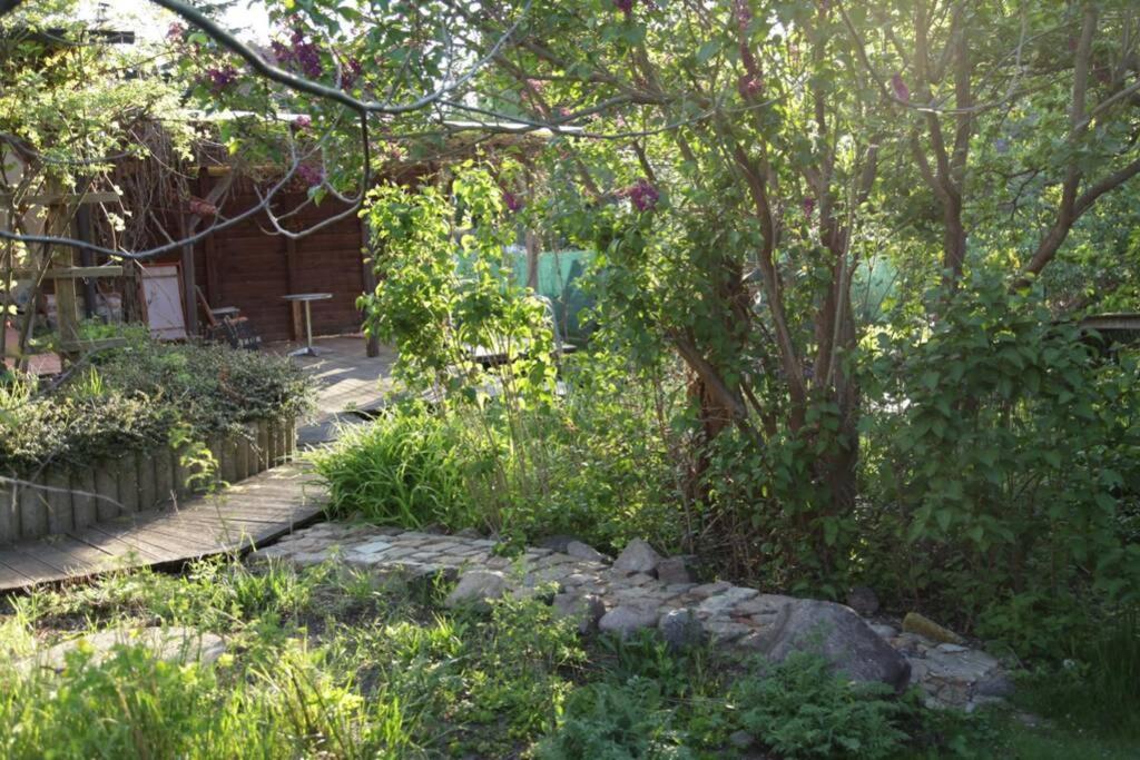 Ferienwohnung In Peetzig Am See Angermunde Dış mekan fotoğraf