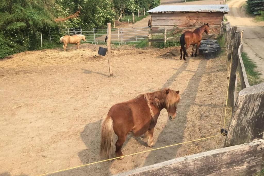 Ferienwohnung In Peetzig Am See Angermunde Dış mekan fotoğraf