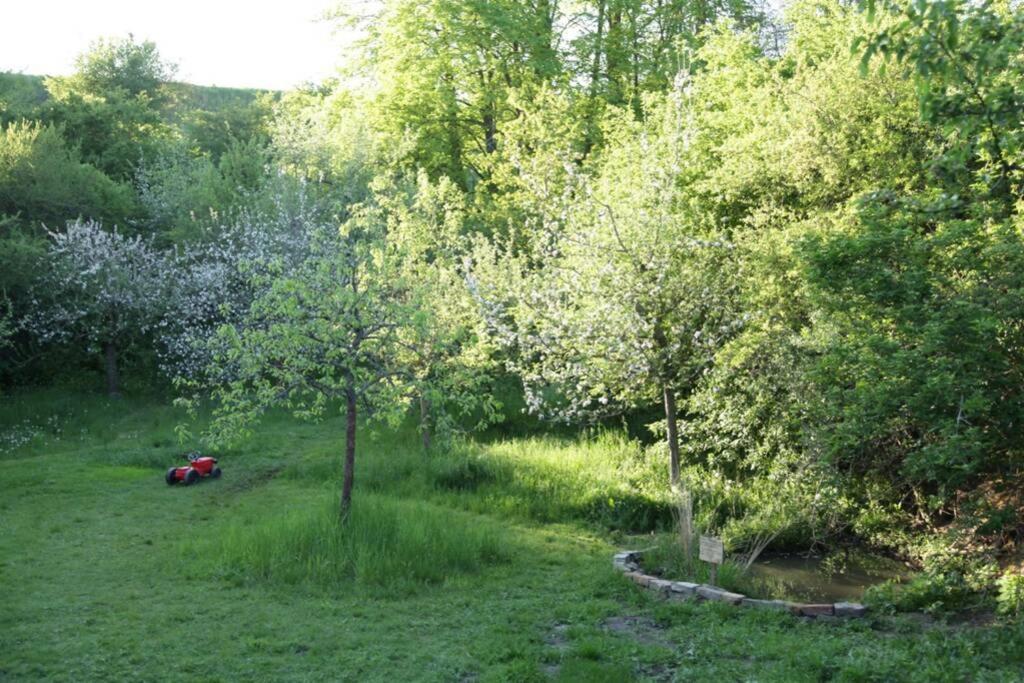 Ferienwohnung In Peetzig Am See Angermunde Dış mekan fotoğraf